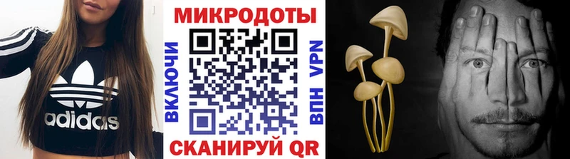 Купить где  Красноперекопск  Псилоцибиновые грибы MAGIC MUSHROOMS 